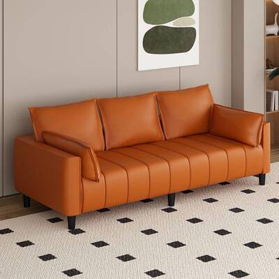 新款猫皮琴键钢沙SNW发出租屋简易小户型服装爪店公寓免洗技布沙