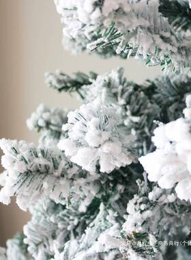 圣诞节落1雪白色树植绒圣诞树裸家用./2/1.51.8/3米仿真VSF雪景装