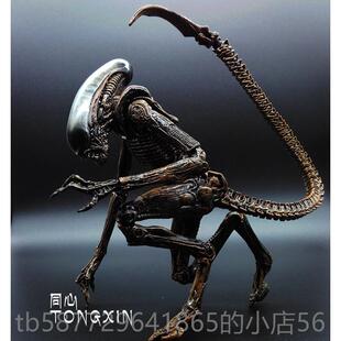 正品手办异形母士后战战铁血模型契约关节超可动人偶大玩具汽车载