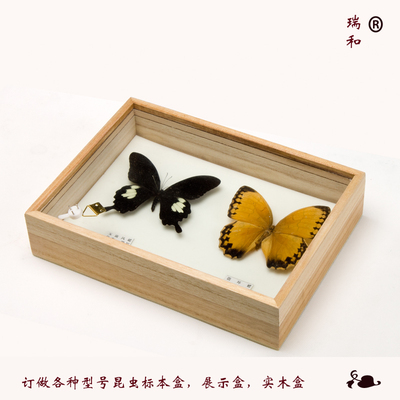 实木标本盒蝴蝶标本盒 矿石昆虫标本盒植物标本盒42X29X5.5cm