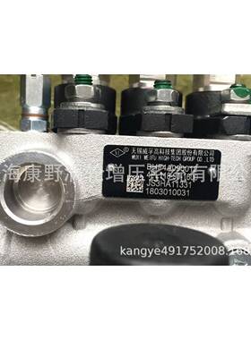 喷油泵4PL118CS3HA1133和3L136A和84*14PL1P211和J*4PL601