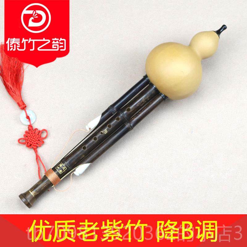 高档云傣竹之韵 葫芦丝业演奏音型录降b调小D/C/专A/G/F南调成人
