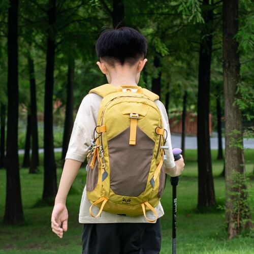户外儿童徒步旅行登山包20升轻量化出游男孩外出旅游背包爬山轻便