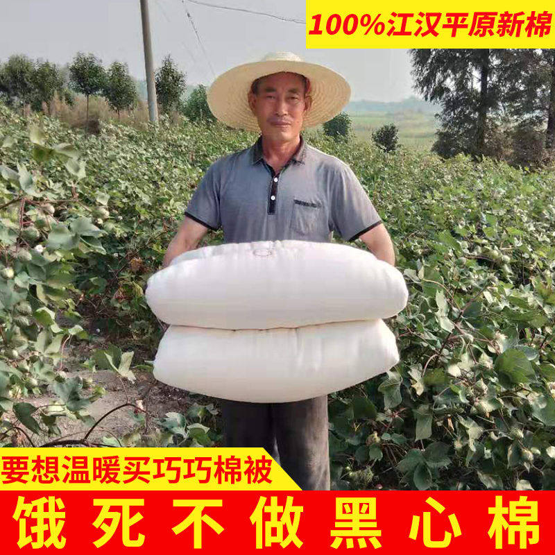 2020农家纯手工缝制棉被春夏秋冬加厚絮床垫学生款家庭版新品推荐