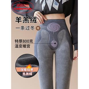 高腰特厚 加绒800克东北保暖打底棉裤 羊羔绒鲨鱼裤 女士外穿秋冬季