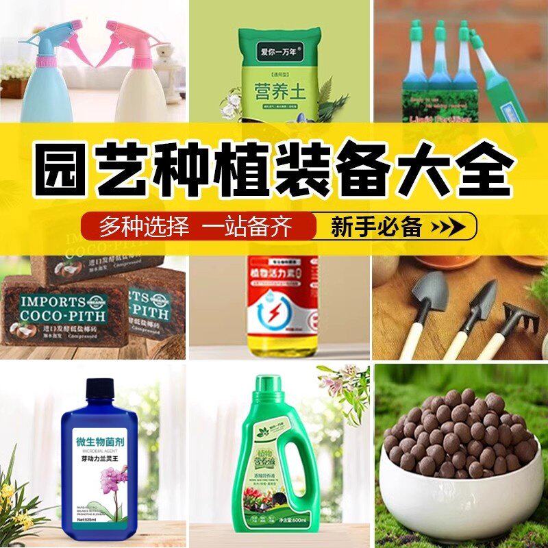 新疆包邮园艺用品营养土营养液月季大肥王喷壶陶粒五彩石花卉植物