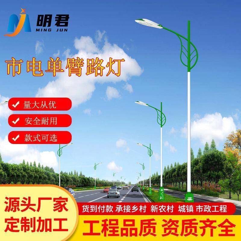 市电单臂路灯8米10米厂区户外公园道路灯厂家6米单臂LED路灯