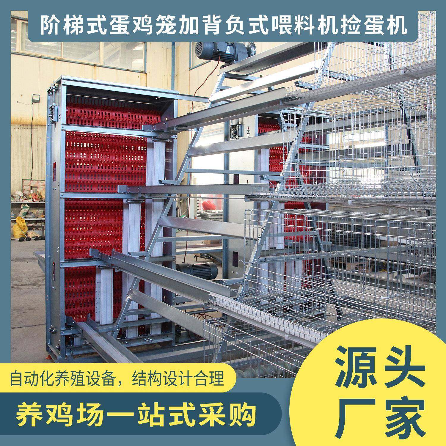 自动化养殖设备阶梯式机械蛋鸡笼养喂料机捡蛋机全自动,畜牧/养殖物资,特种养殖设备,淘宝优惠券,粉丝福利购,淘宝优惠卷