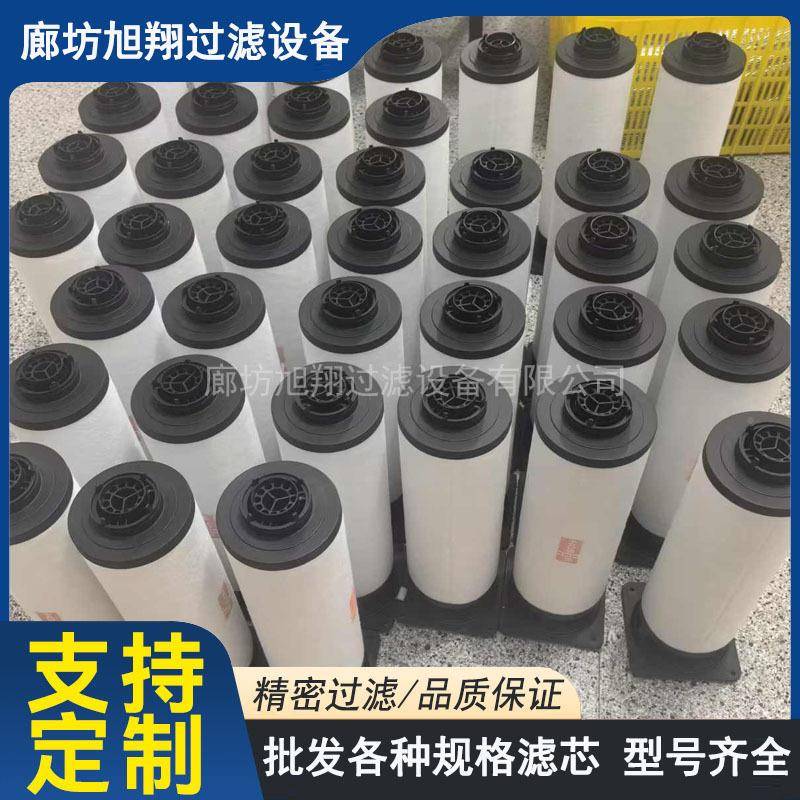 爱德华MF300真空泵JPO油雾分离A22器3040201MF10A22304020真空泵