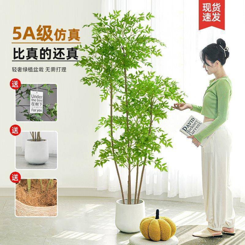 植物南天落ali-7734地盆栽室内大型奢生绿植摆件仿客厅轻装饰竹花