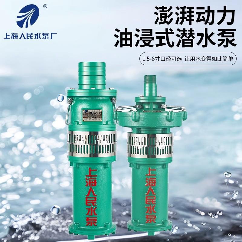 SRSQC上海V人民Y水系列380充油式潜水家用抽泵高扬程喷泉农用ARQ