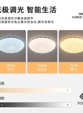 le6789d光吸顶灯卧室灯全光谱简约梦幻星瓣灯轻奢精致20花2年新3