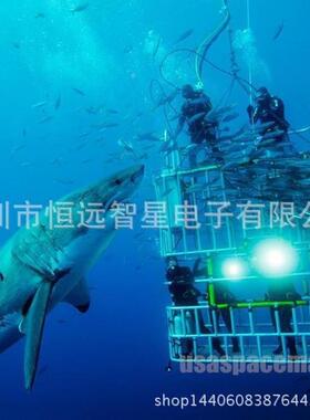 专业LEFPTD-潜超水手电XML2款强光潜水手电筒远射探索户外露营80