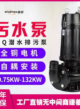 SCC潜水排污泵无堵-塞污泥抽水泵高扬程灌工溉程污水泵65Q25-203W