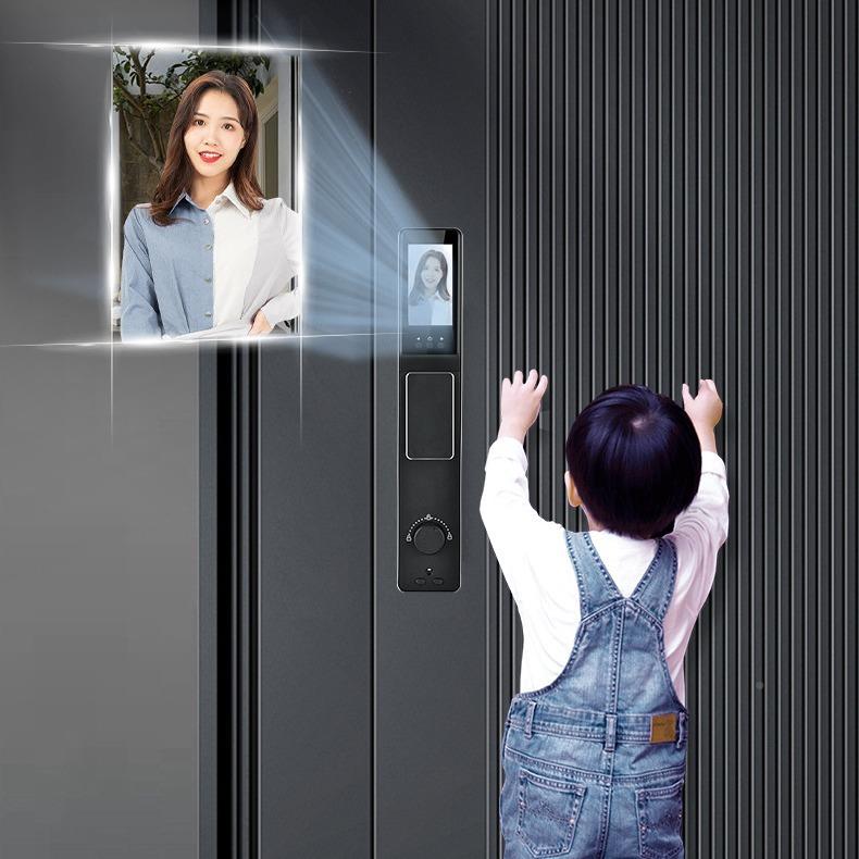 CN指C精雕智能纹锁防门锁智能家用全自动锁人DM6脸识别盗智能门锁