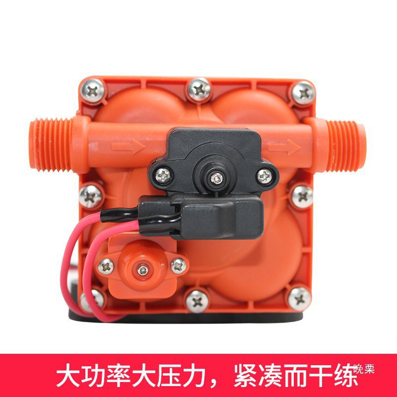 Seaflo房车隔膜水泵12V/24V