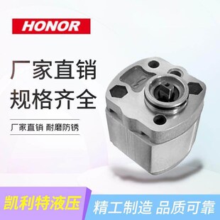 1GG1P07P 2GG1B08R 齿轮马达 1AG1P02R HONOR钰盟齿轮泵1MMP04