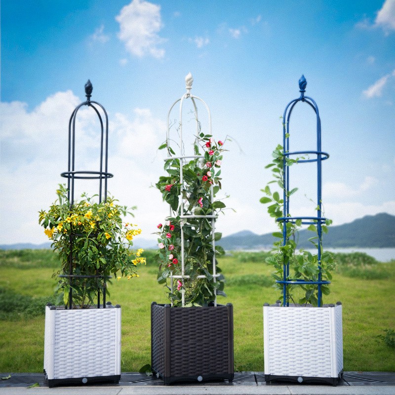 花架爬藤架玫瑰月季铁线莲花盆支架攀爬架阳台室外园艺植物支撑杆