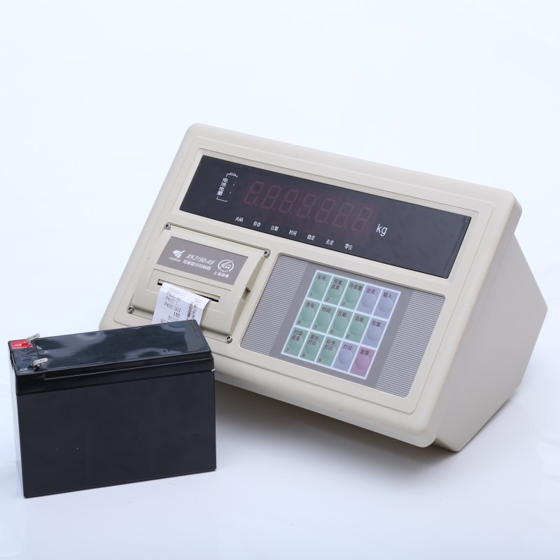 称重仪表卖卖卖卖快速称重 稳定称重打印小票XK3190-A9称重仪表