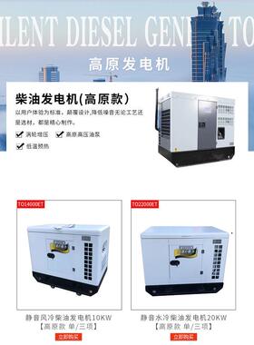 大泽动力12KW高原款柴油发电机TO16000R低温预热高海拔220V380V