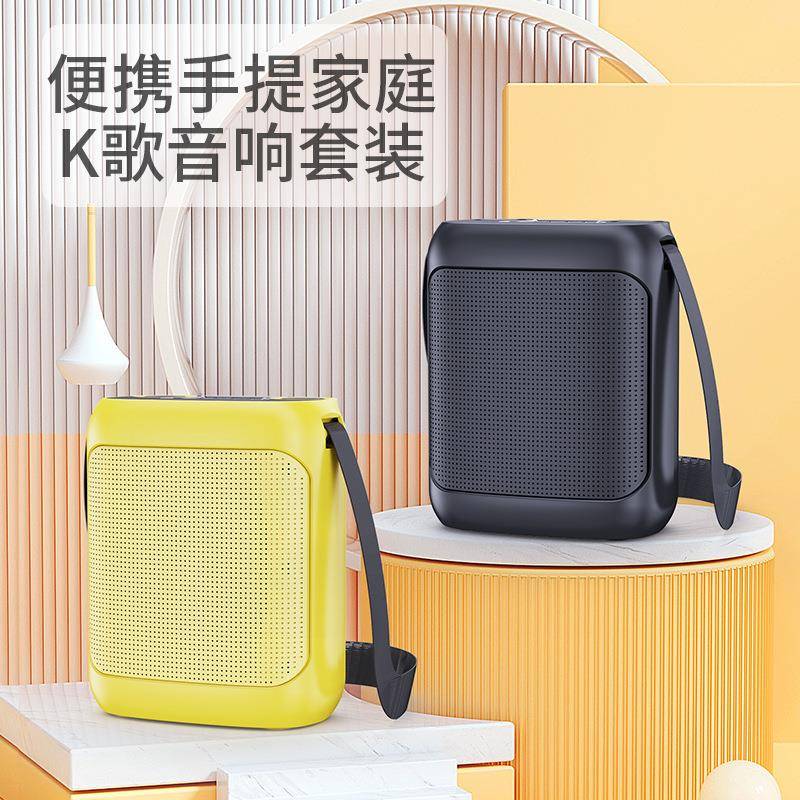 YS-220户外音箱k歌卡拉ok机家用广场舞话筒有背带的K歌音箱