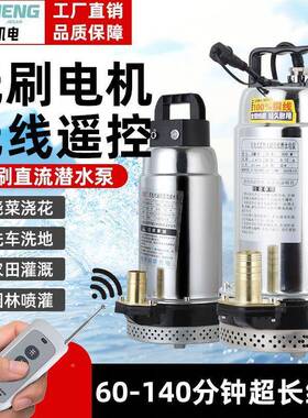 遥无控线直流潜水泵v户LJF抽水外泵12浇菜灌溉充电式锂电长续航版
