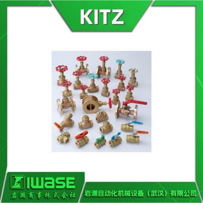 CS/FBS-TFEKITZ开滋小型空压式弹簧自动复位型两通螺旋结构