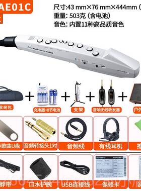 新款日本1品牌Roand罗AlE-0兰电吹管老人电萨克斯电子乐器二胡AE0