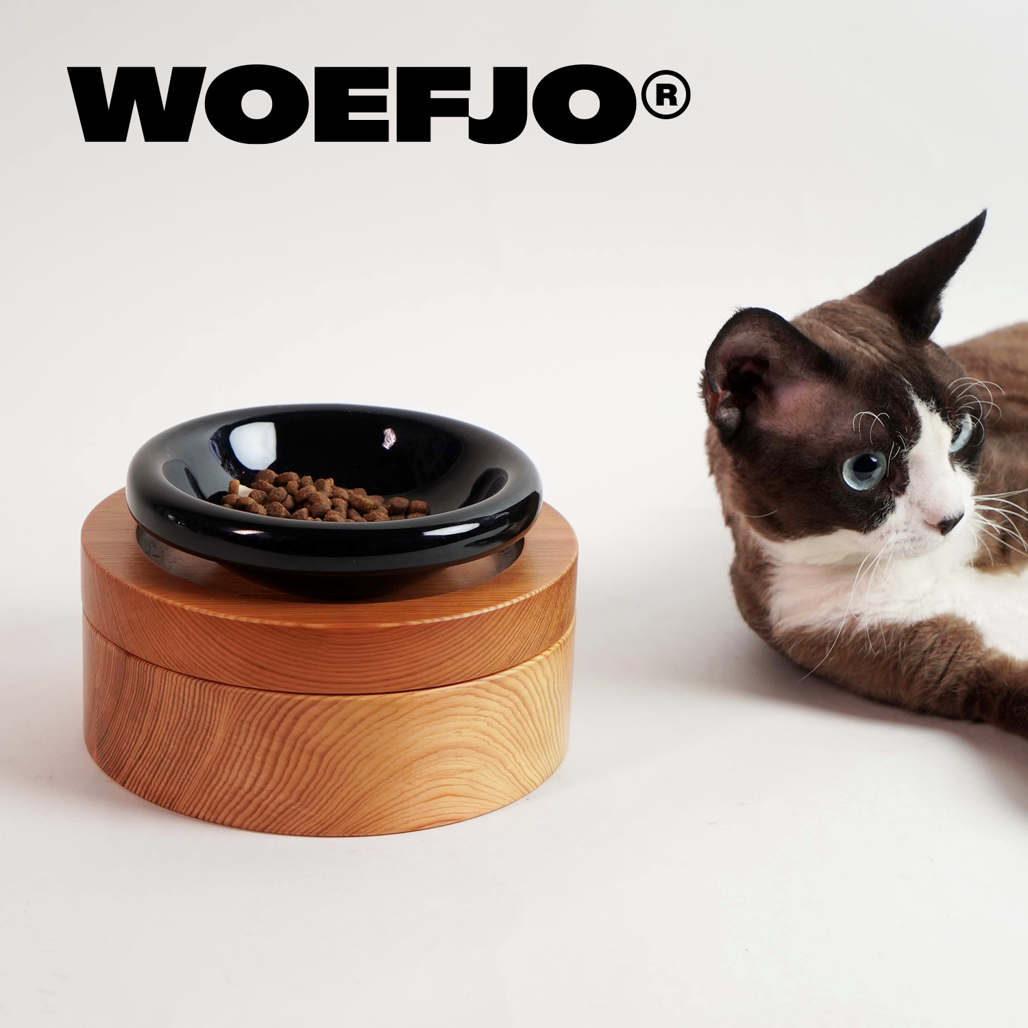 防打翻不锈钢宠物实木增高猫狗碗