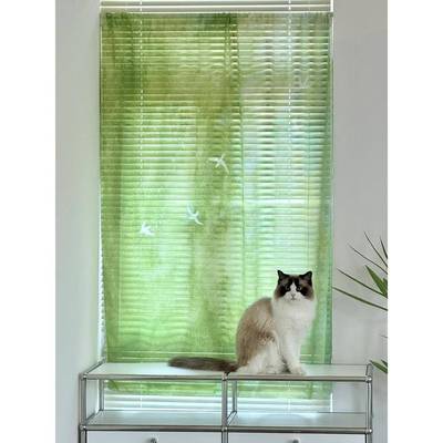 夏日风287飘透光窗雪帘纺纱绿的窗纱飘窗帘布门纱帘逸窗幔阳台帘