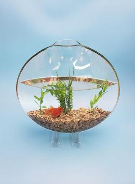 NZ6422物迷你桌面生态玻鱼缸圆形植水培鱼缸创意亚克力家透明水用