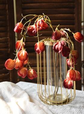 长枝灯笼花仿真花约风简假花室家内居饰办装公室酒店前台装饰HFHL