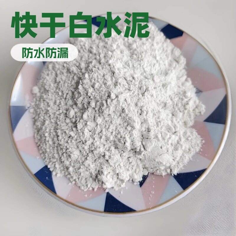 硅酸盐白水泥防水堵漏修补
