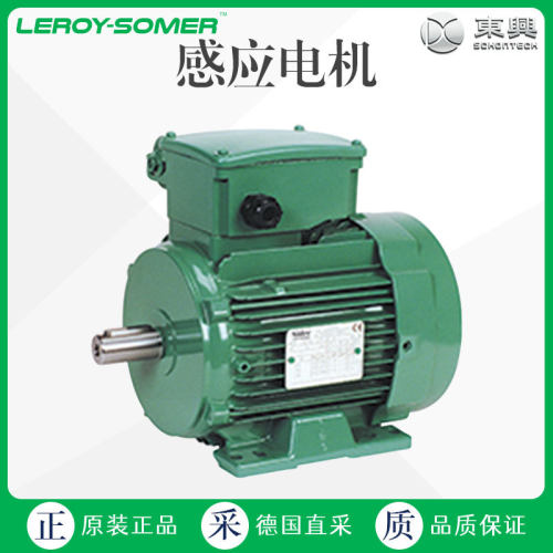 工厂直采 德国 LEROY SOMER 感应电机 多型号可询 LS PR系列