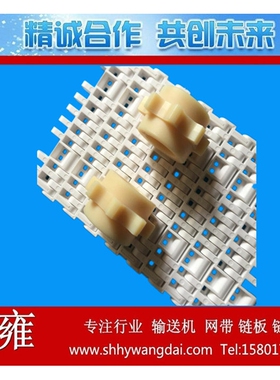 7705平格塑料模块式输送带 蓄电池专业塑料网链网带直销