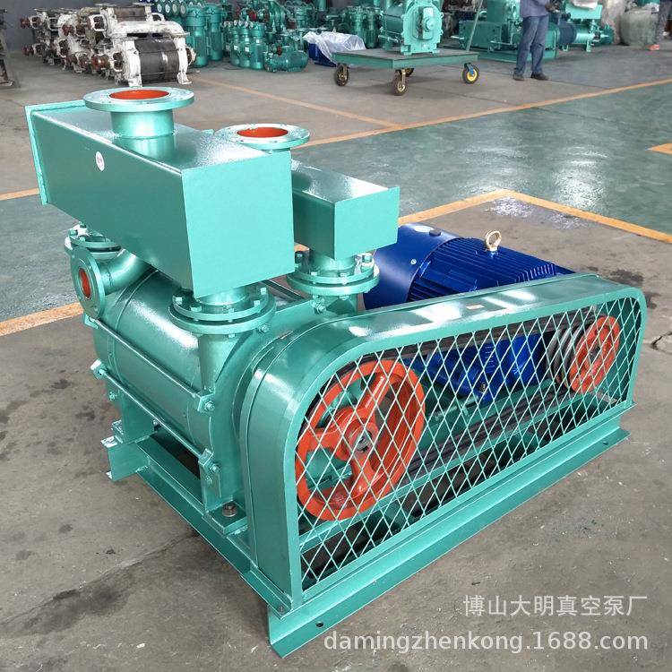 行业用2BEA202水环各式真空泵2BE2024842BE1/-2K02水环式真空泵18