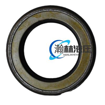 A4V284VG45A4VG56AVG90A4VG125A4VGGKVU1A80A4VG2540骨架油封