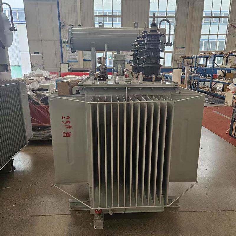 S1/S3/S20-125KVA/250KS11-125K三VA/4010KVA相油浸式变压1器