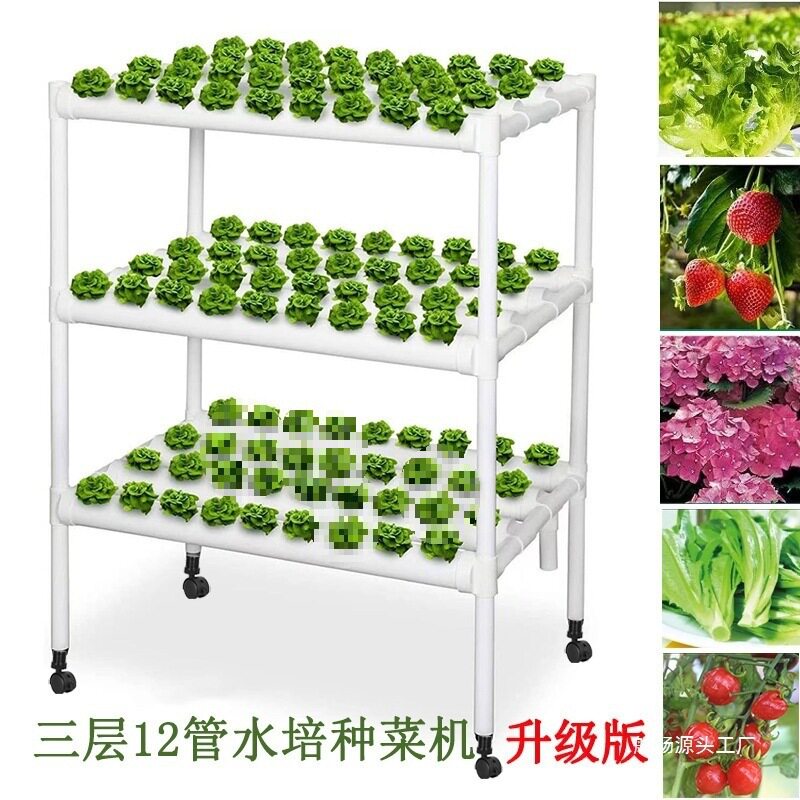 12管道多层水培蔬菜种菜机