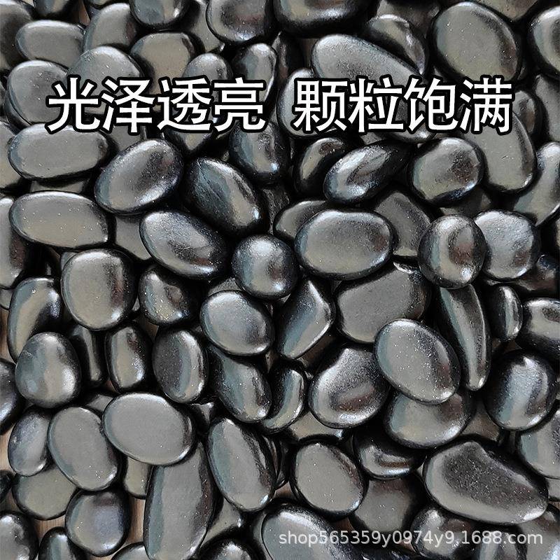 精抛黑色路鹅卵石黑石子庭院铺铺地黑石头鹅景装饰996园艺大造小