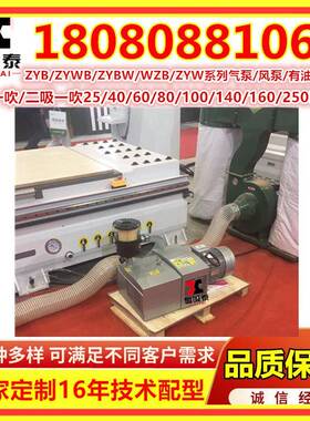 镇江气泵YGAC0BW25E250真空压力复合气泵无油Z泵纸板机风无油泵