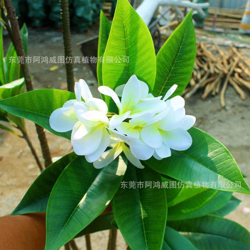仿生真绿植蛋仿花鸡树装盆栽仿真鸡蛋室内外大小型真花仿真植物饰