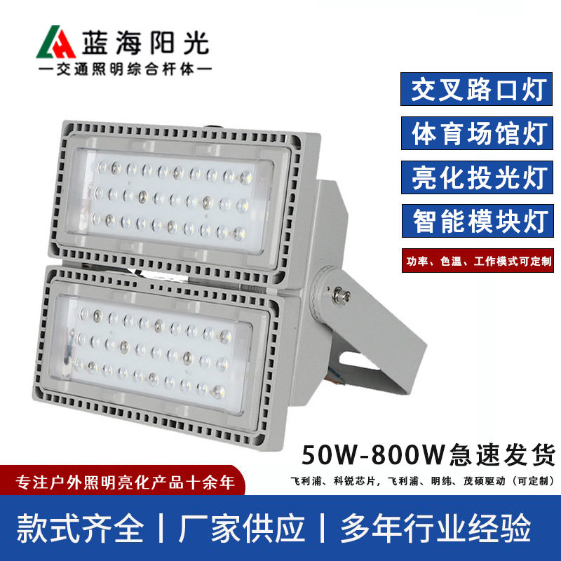 LED模组投光灯室内外广场球场