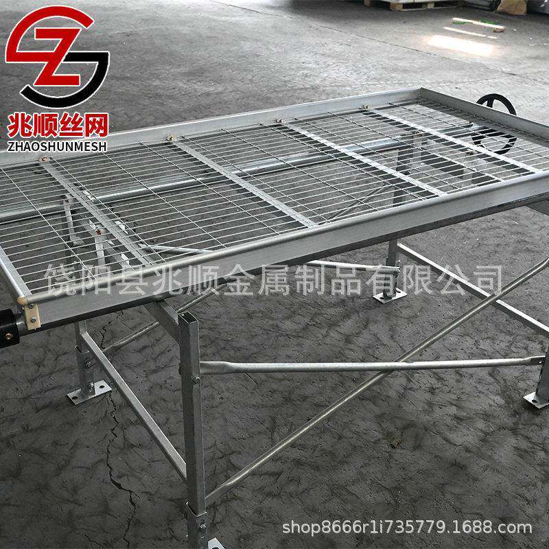 指导温育安装苗室植配套设施温室RIO大棚苗床栽植床花苗培用网