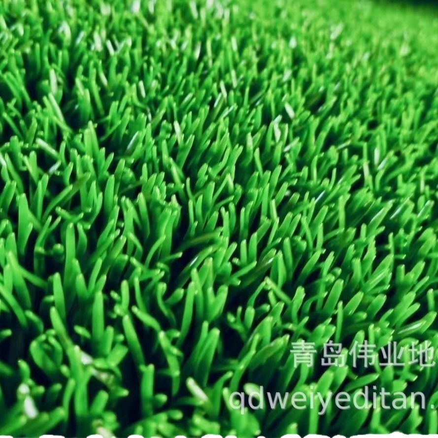 源头工厂生产淘金草粘金草洗金毯地垫粘金布淘金草批发