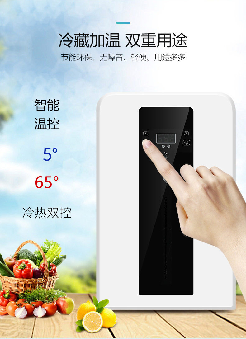 22L家车两用车载冰箱冷藏保温箱学生宿舍迷你小冰箱保鲜小冰柜