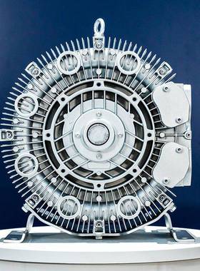 R-41D-旋涡高压风机RB机-31DB-1旋涡真空泵415上料用旋涡3高压风