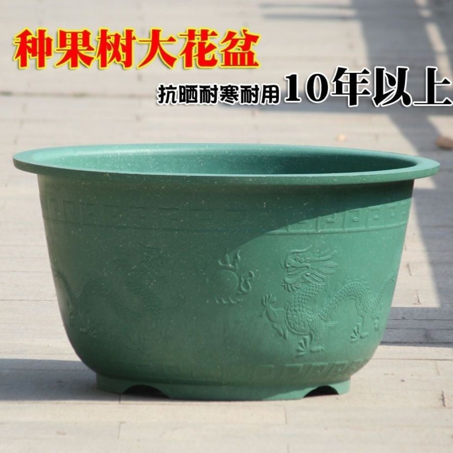 果树种植花盆加厚龙缸盆大口径庭院耐用十年圆形种树种菜多肉