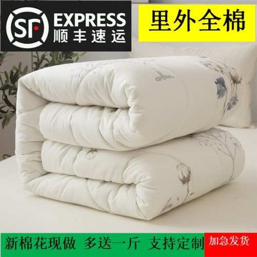 新疆纯棉花手工棉被芯子春秋加厚冬被全棉单人学生宿舍垫被褥定做