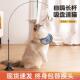 猫玩具逗猫棒自嗨解闷神器带吸盘长杆宠物小猫咪玩 幼猫用品大全